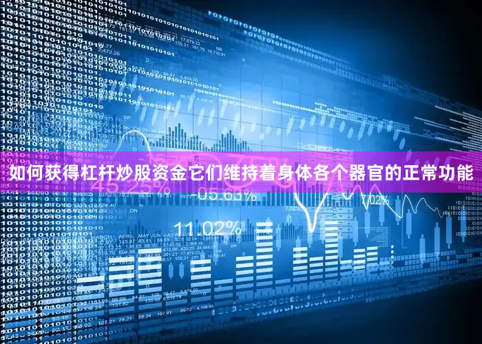 如何获得杠杆炒股资金它们维持着身体各个器官的正常功能