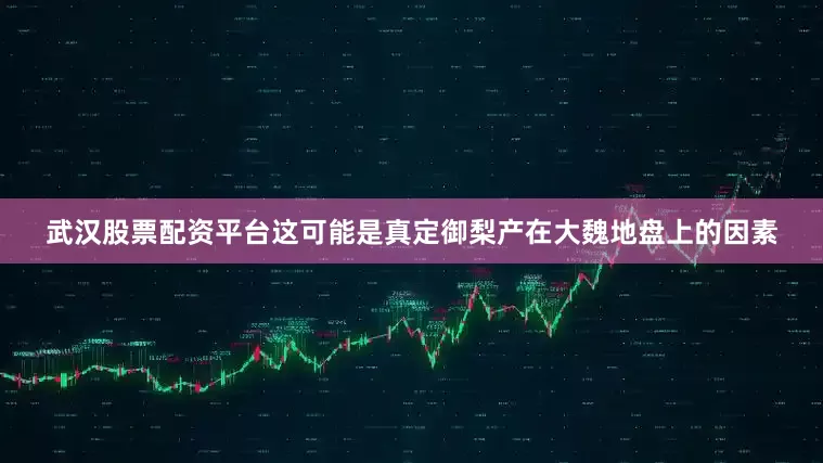 武汉股票配资平台这可能是真定御梨产在大魏地盘上的因素
