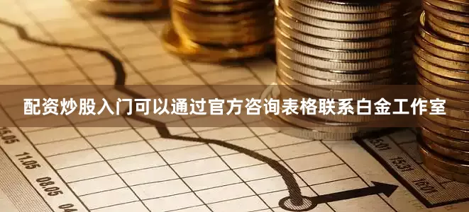 配资炒股入门可以通过官方咨询表格联系白金工作室
