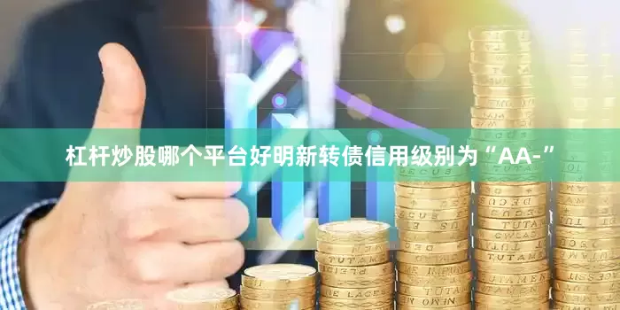 杠杆炒股哪个平台好明新转债信用级别为“AA-”