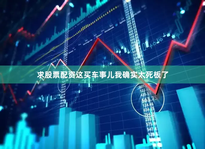 求股票配资这买车事儿我确实太死板了