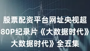 股票配资平台网址央视超高清1080P纪录片《大数据时代》全五集