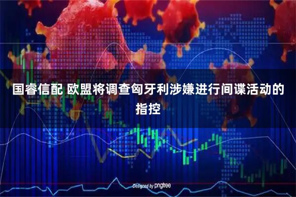 国睿信配 欧盟将调查匈牙利涉嫌进行间谍活动的指控