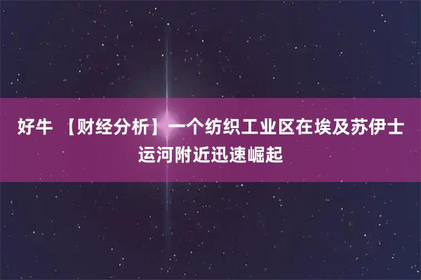 好牛 【财经分析】一个纺织工业区在埃及苏伊士运河附近迅速崛起