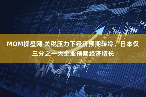 MOM操盘网 关税压力下经济预期转冷，日本仅三分之一大企业预期经济增长