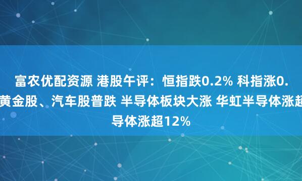 富农优配资源 港股午评：恒指跌0.2% 科指涨0.34% 黄金股、汽车股普跌 半导体板块大涨 华虹半导体涨超12%