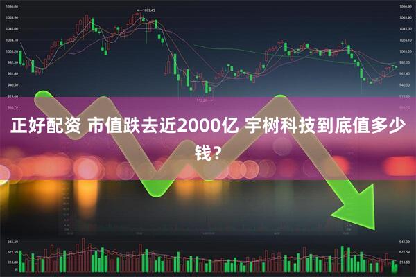 正好配资 市值跌去近2000亿 宇树科技到底值多少钱？
